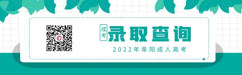 2022年阜阳成人高考录取查询方式