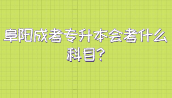 阜阳成考专升本会考什么科目