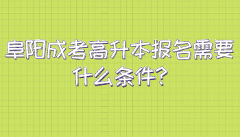 阜阳成考高升本报名需要什么条件